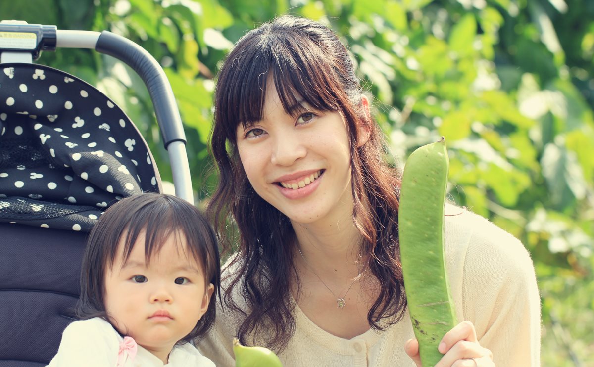 丹波なた豆茶　こやま園