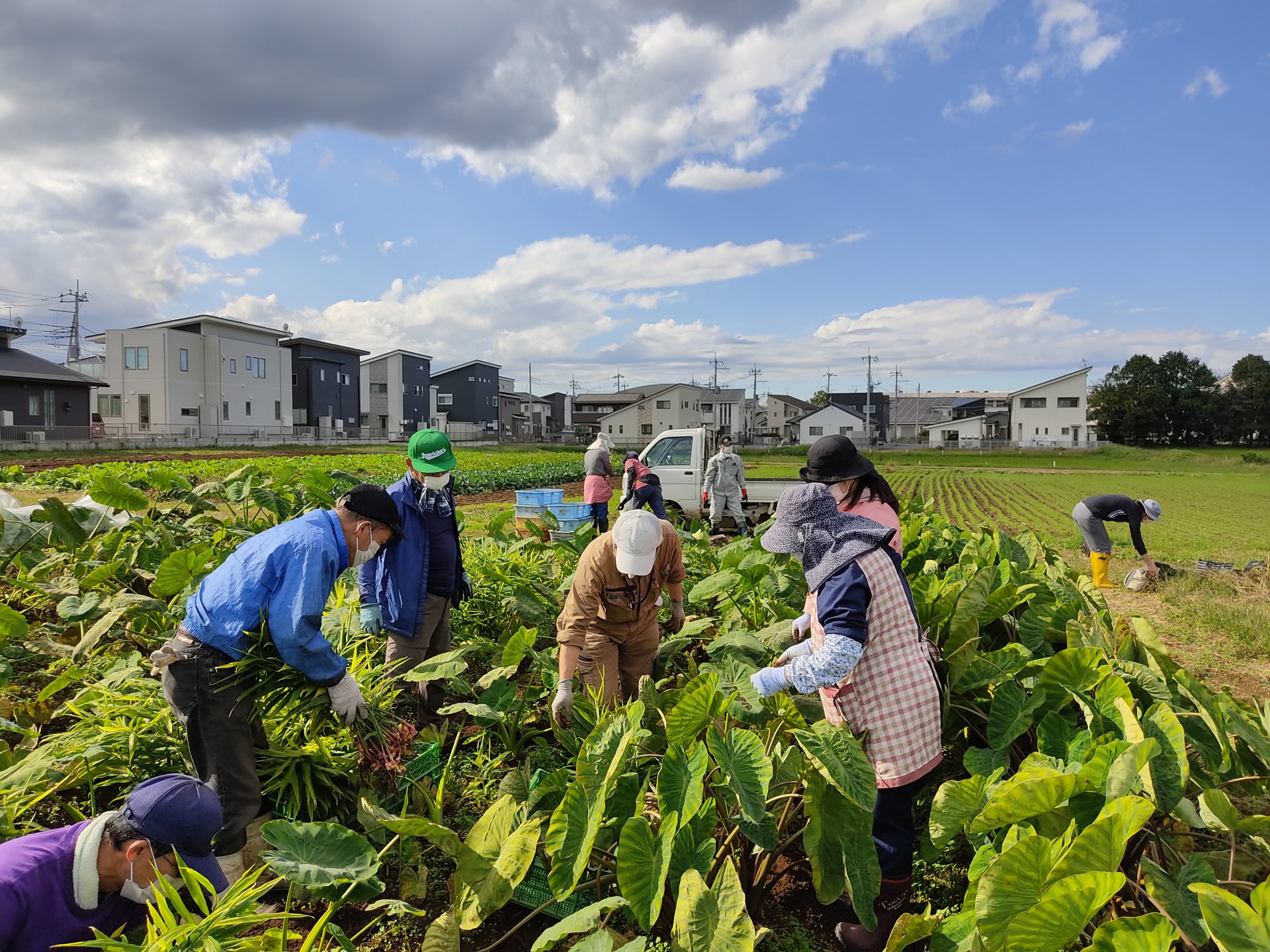 学生たちが心を込めて「育て、作った」茨城の名産品